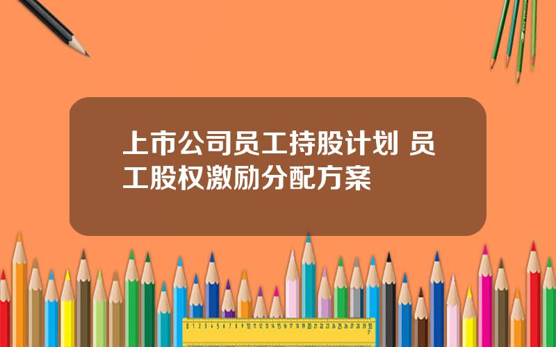 上市公司员工持股计划 员工股权激励分配方案